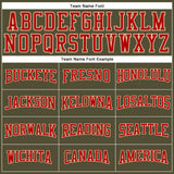 Custom Olive Red-Cream Long Sleeve Performance Salute To Service T-Shirt