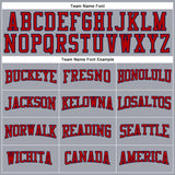 Custom Gray Red-Navy Long Sleeve Performance T-Shirt