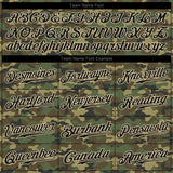 Custom Camo Black-Cream Performance Salute To Service T-Shirt