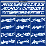 Custom Royal White-Light Blue Authentic Two Tone Baseball Jersey